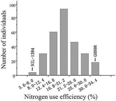 QTL Mapping by Whole Genome Re-sequencing and Analysis of Candidate Genes for Nitrogen Use Efficiency in Rice